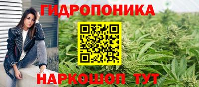 гидра Нальчик