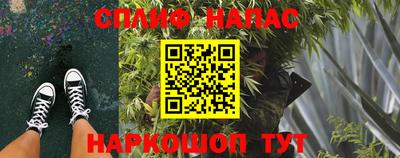 гидра Нальчик