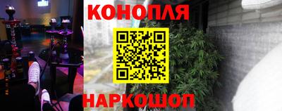 гидра Нальчик