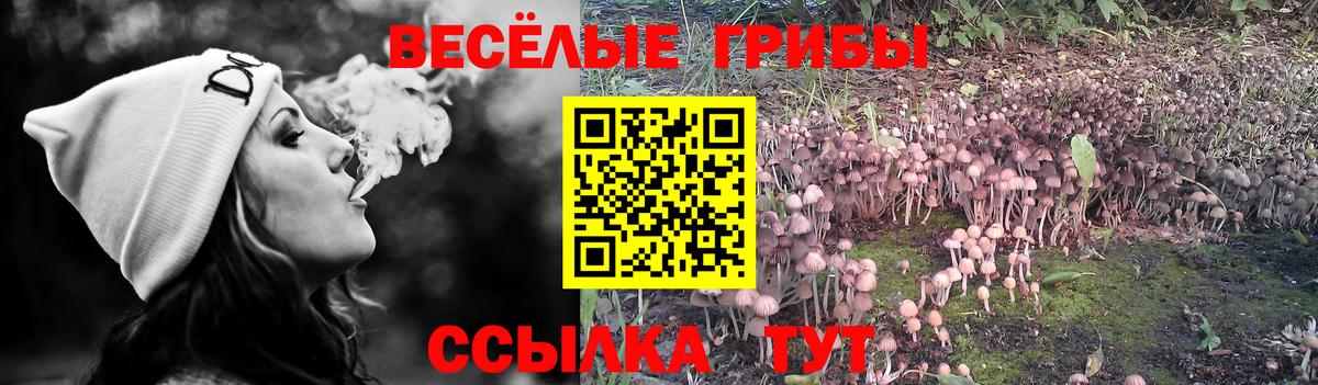 Галлюциногенные грибы Magic Shrooms Ухта